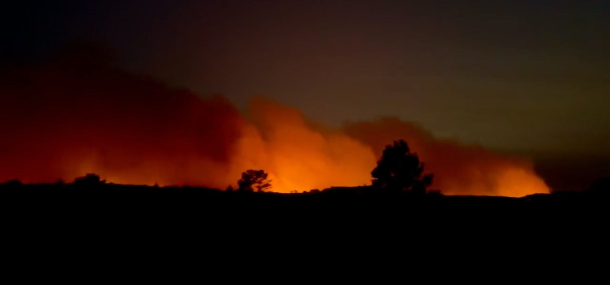 Zo’n 7.000 hectare verwoest door bosbranden in Portugal