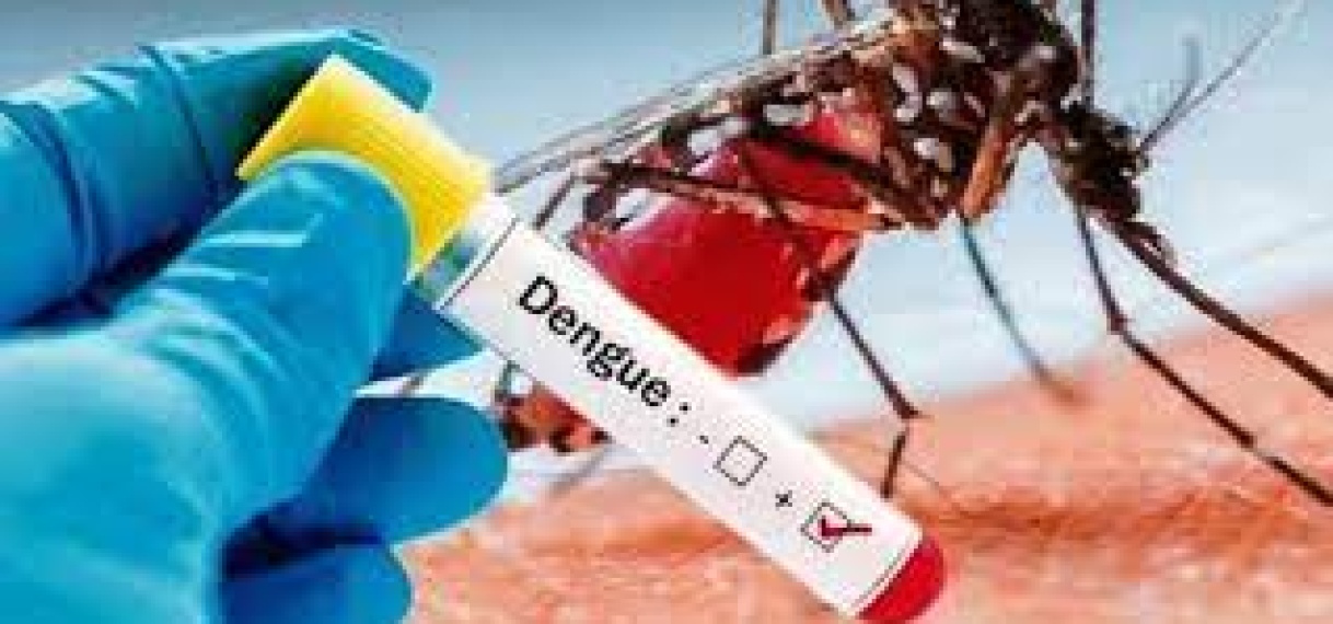 Nickerie noteert stijging aantal dengue gevallen