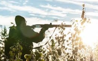 Ondernemer schiet met jachtgeweer op man; verdachte aangehouden