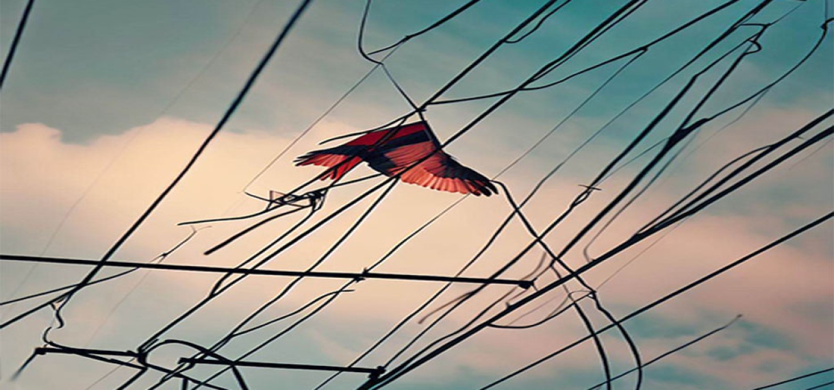 Elektriciteitsnet lijdt schade door vliegers en bermbranden