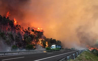 UPDATE: Zeker veertienhonderd mensen moeten hun huis uit door bosbrand in Portugal