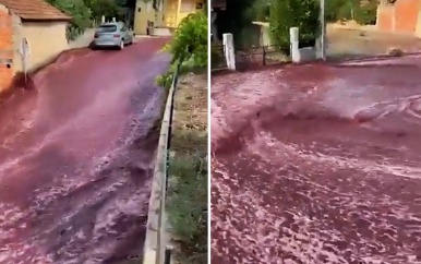 2,2 miljoen liter rode wijn stroomt door Portugees dorp