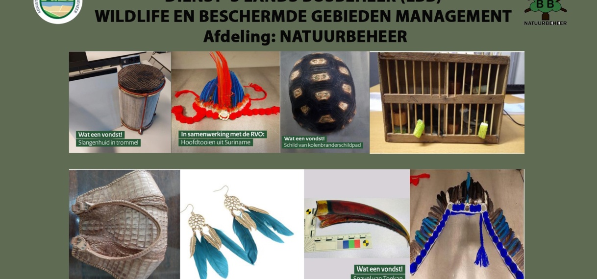 Import en export wildlife mogelijk nieuwe trend