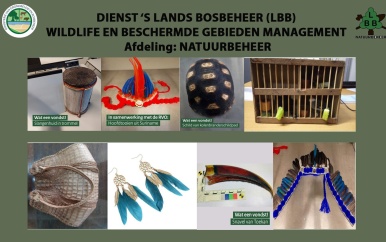 Import en export wildlife mogelijk nieuwe trend