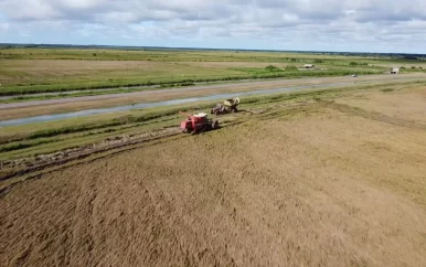 Volgende padie inzaai in gevaar