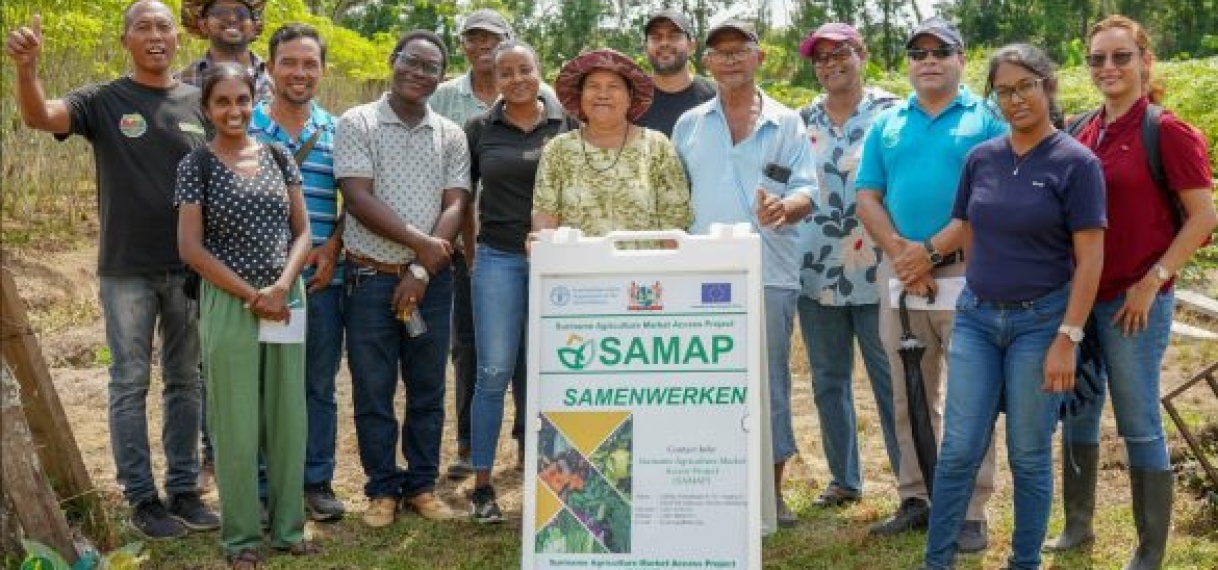 Boeren Saramacca delen ervaringen over Cassaveproject