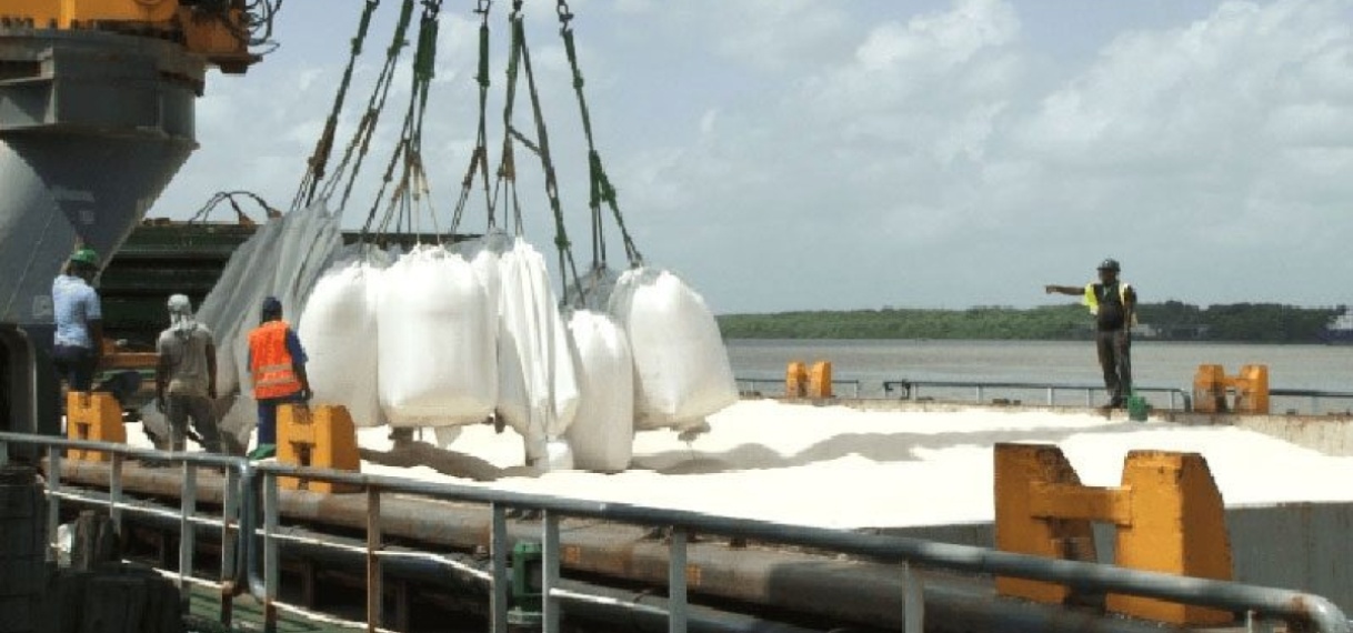Rijstexport belangrijke inkomsten voor Suriname
