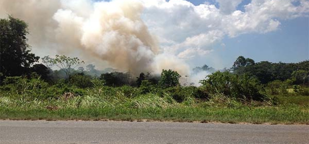 Sancties tegen vuilverbranding moeten aangescherpt worden