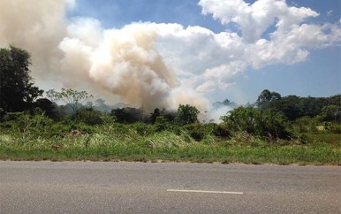 Sancties tegen vuilverbranding moeten aangescherpt worden