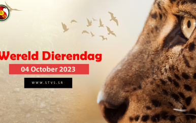 Vandaag is de Internationale Dag van het Dier