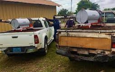 Relatie tussen malathion bespuiting en overlijden leerling niet vastgesteld