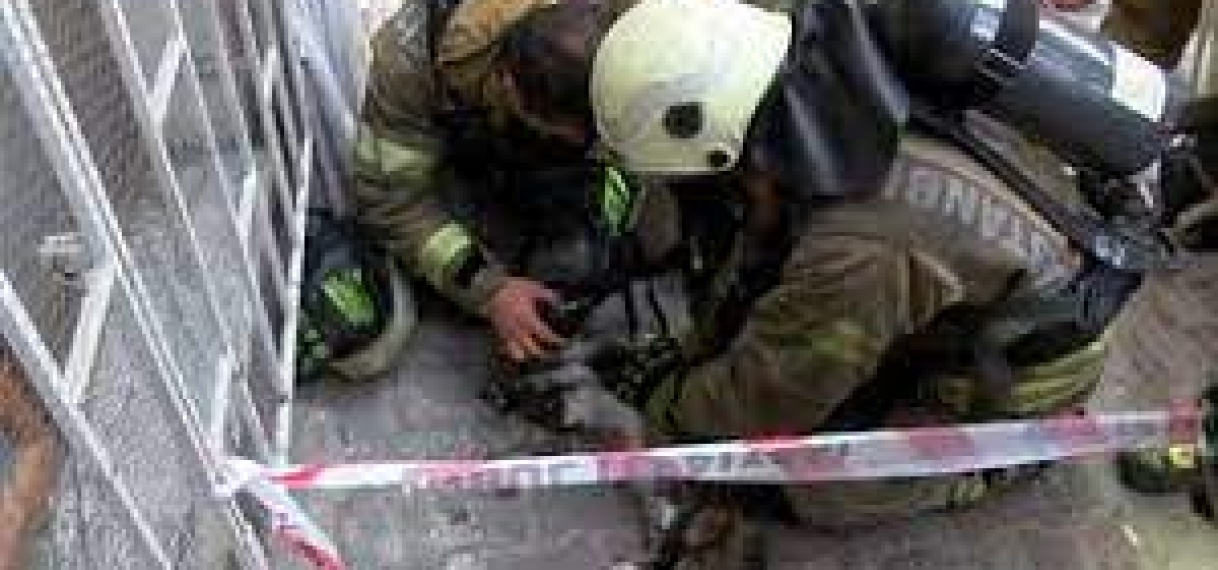 Turkse brandweerlieden reanimeren kat na brand