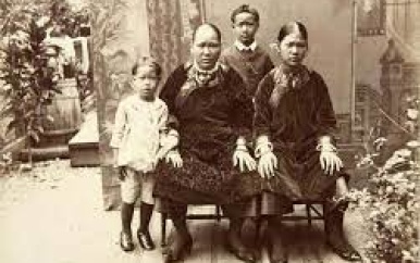 Chinezen belangrijk voor ontwikkeling Natie Suriname