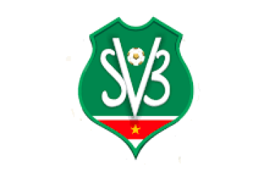 SRD 20.000 voor ontwerper logo en mascotte Suriname Major League