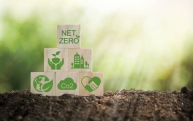 Suriname wil eerste land koolstofcredits verkopen