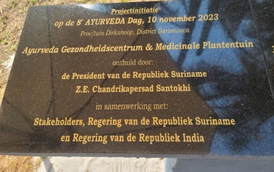 Aanleg Ayurvedische geneeskrachtige planten en gezondheidscentrum