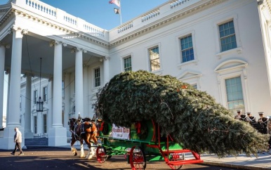 Omgewaaide kerstboom bij Witte Huis overeind gehesen