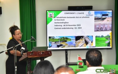 Rehabilitatie werkzaamheden Saramacca kanaal