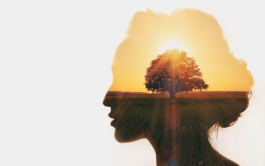 [UPDATE] Mentale gezondheid vaker inherent aan economische crisis in een land