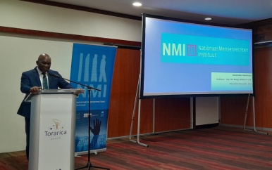 Het proces van oprichting van het Nationaal Instituut voor de Rechten van de Mens in Suriname