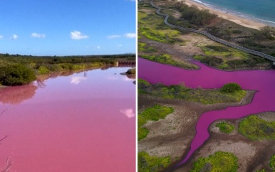 Knalroze waterplas fascineert Hawaïanen: ‘Lijkt wel verf’