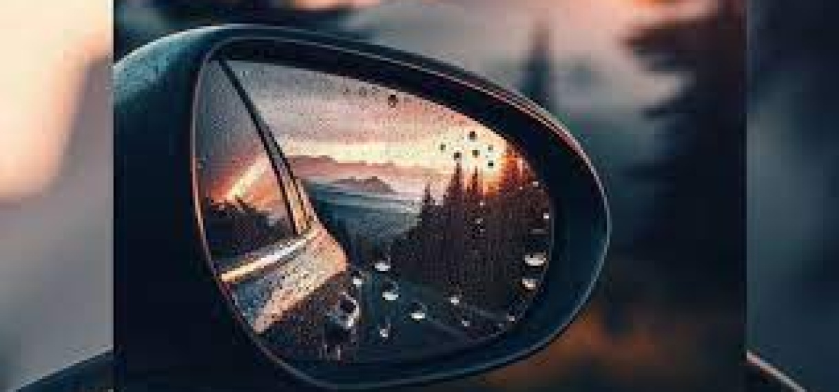 Milde straf voor zijspiegeldieven