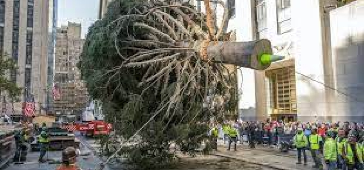 Timelapse toont optuiging van beroemde kerstboom in New York