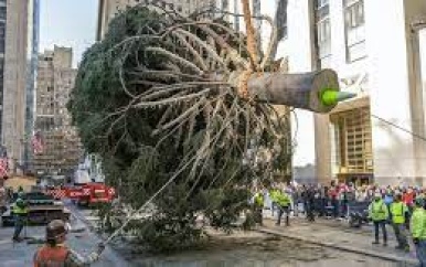 Timelapse toont optuiging van beroemde kerstboom in New York