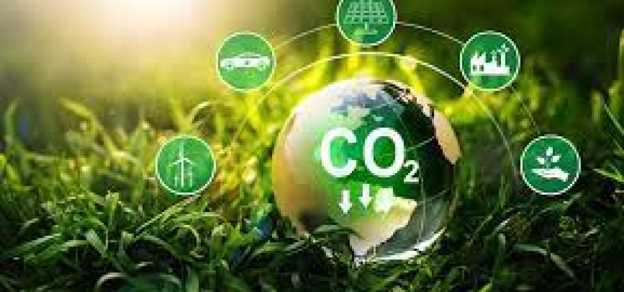 [update] De helft van carbon verdiensten gaan naar het binnenland