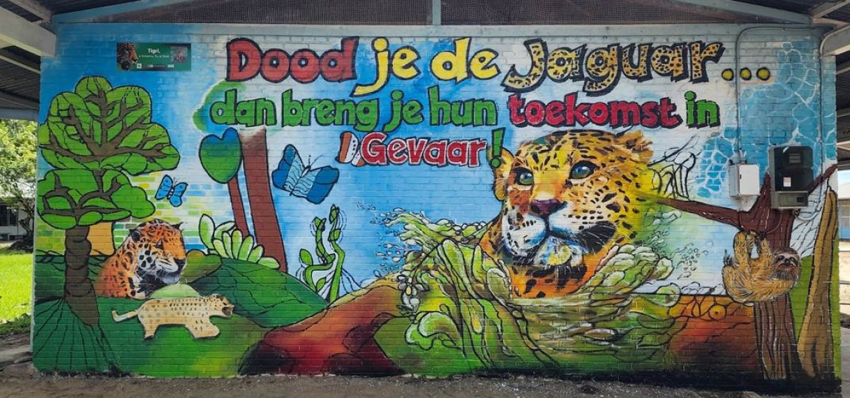 Het is belangrijk om ervoor te zorgen dat jaguars in Suriname continue verbindingen hebben om een gezonde populatie
