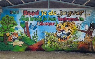 Het is belangrijk om ervoor te zorgen dat jaguars in Suriname continue verbindingen hebben om een gezonde populatie