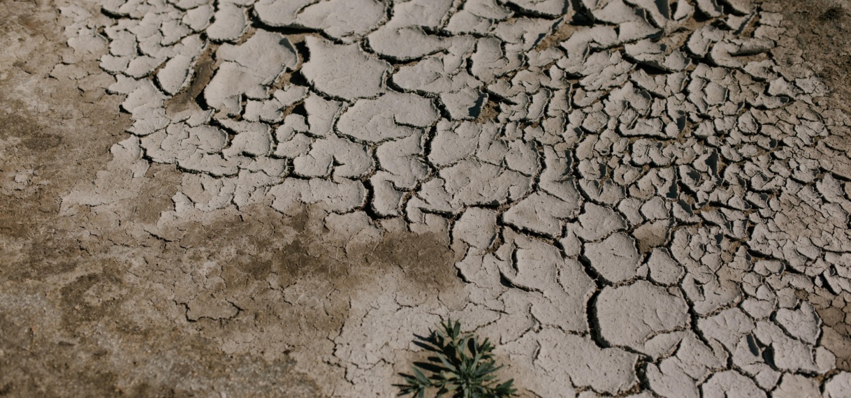 LVV pak water te kort voor rijstbouw aan
