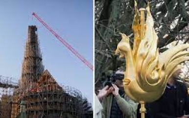 Nieuwe gouden haan op torenspits Notre-Dame gehesen