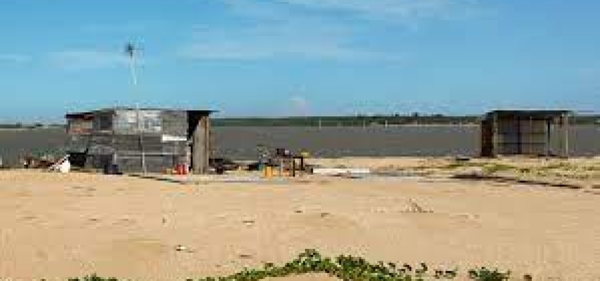 Wilde occupatie Braamspunt bedreigd zeeschildpadden