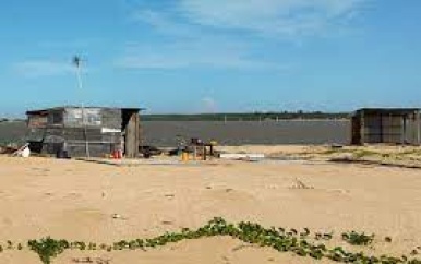 Wilde occupatie Braamspunt bedreigd zeeschildpadden