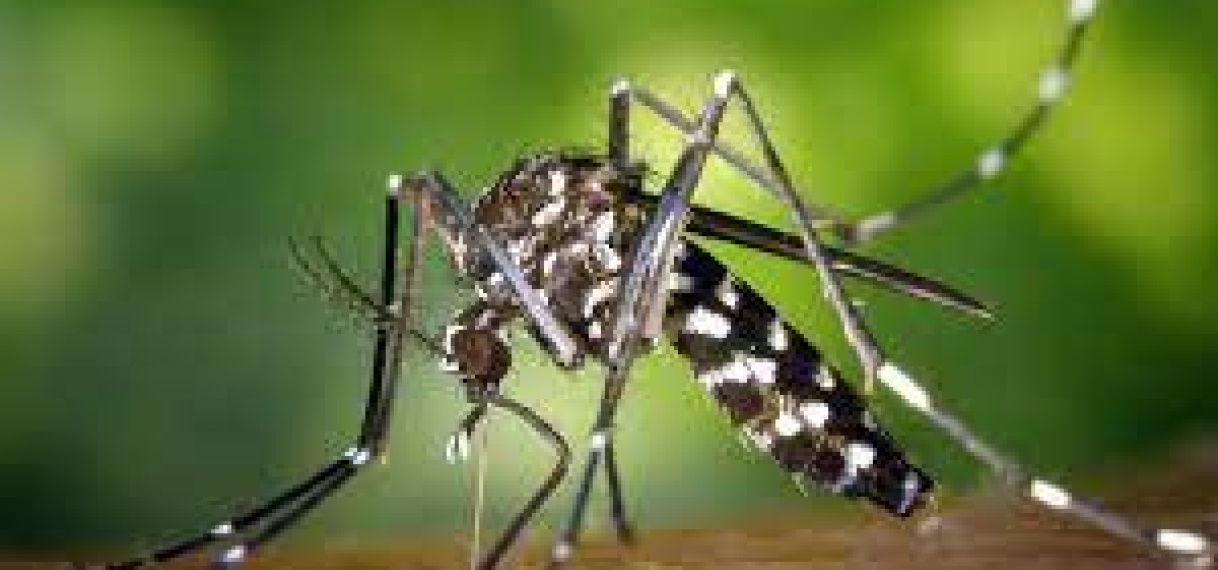 Belangrijke stap gezet in malariabestrijding met capaciteitsopbouw programma