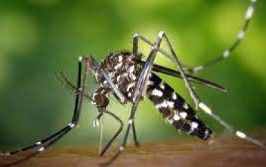 Belangrijke stap gezet in malariabestrijding met capaciteitsopbouw programma