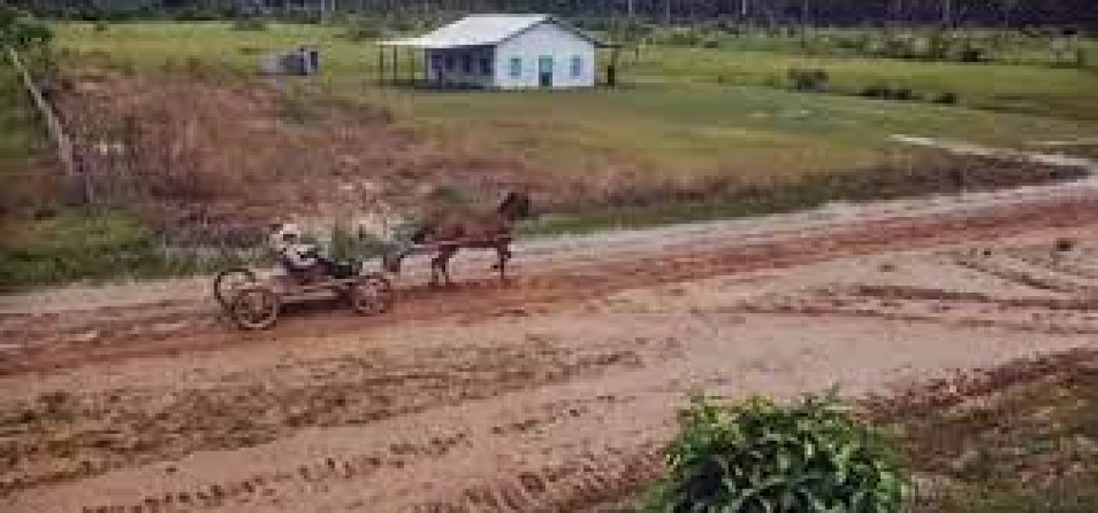 Ook minister Ramdin ontkent uitgifte grote lappen grond aan Mennonieten