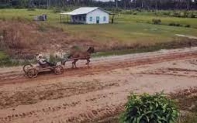 Ook minister Ramdin ontkent uitgifte grote lappen grond aan Mennonieten