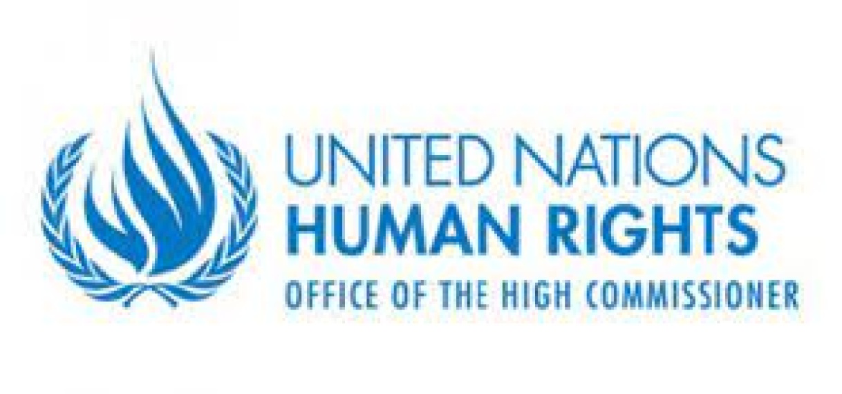 Internationale experts uiten bezorgdheid over veroordeling van ex-president Bouterse