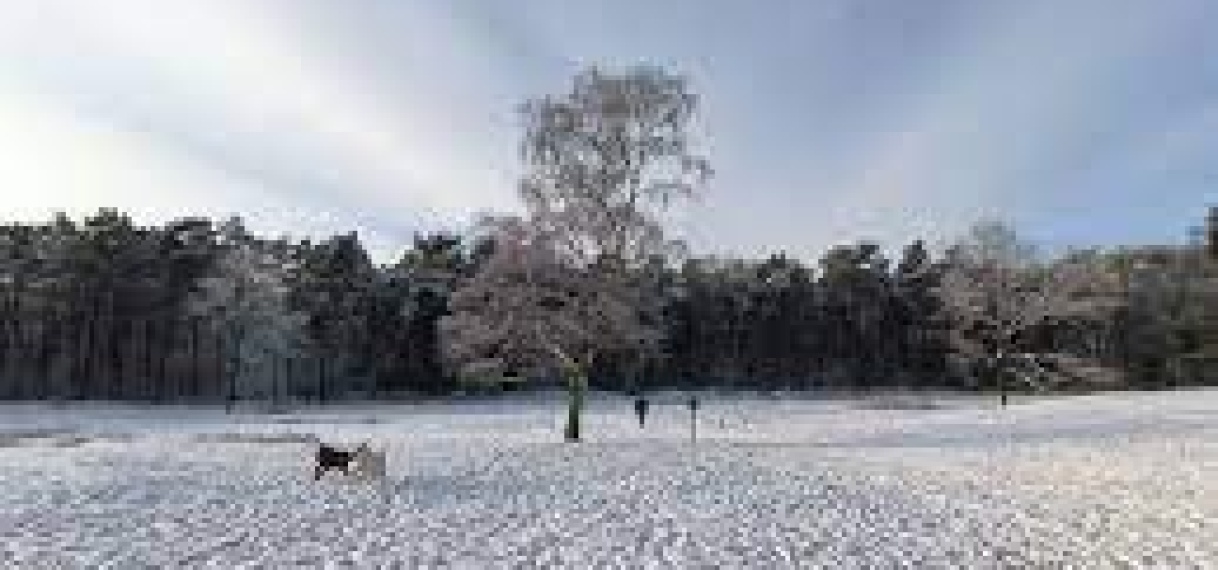 Meerdere scholen in Zuid-Limburg dicht vanwege hevige sneeuwval, hele ochtend nog code geel