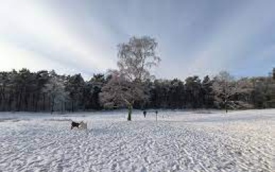 Meerdere scholen in Zuid-Limburg dicht vanwege hevige sneeuwval, hele ochtend nog code geel