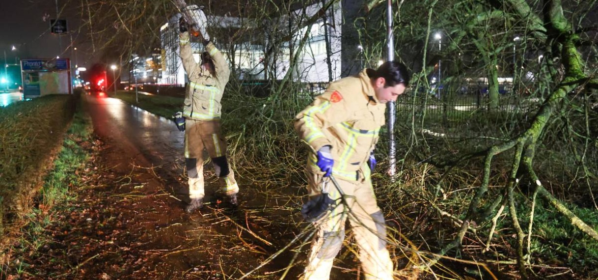 Brandweer verwijdert door storm Isha omgewaaide bomen