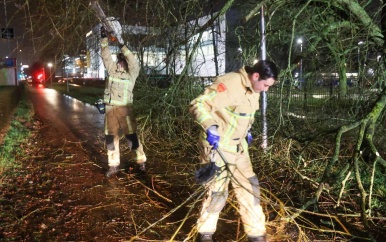 Brandweer verwijdert door storm Isha omgewaaide bomen