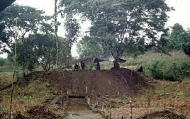 Oude Stad Ontdekt in de Amazone: Een Nieuw Hoofdstuk in de Geschiedenis van Zuid-Amerika