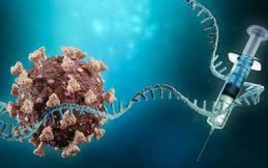 Terugblik op het 28ste Symposium over Vaccinatie, Antimicrobiële Resistentie en Encefalitis