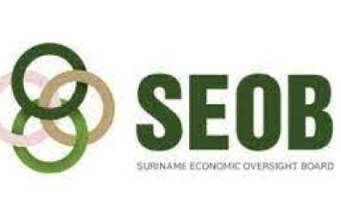 Terugblik op de Economische Ontwikkelingen van 2023 en Adviezen voor de Toekomst: SEOB Bulletin