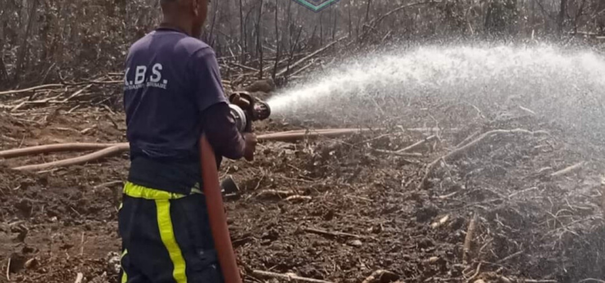Bosbrand Wageningen langzaam onder controle