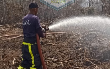 Bosbrand Wageningen langzaam onder controle