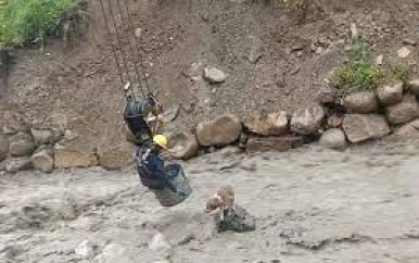 Hond gered van rots in kolkende rivier in Bolivia